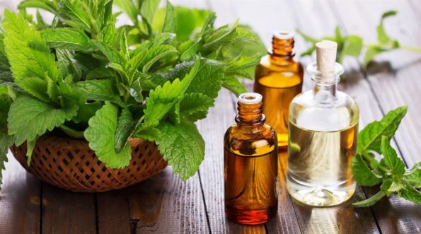 تصنيع الزيوت العطرية بمعادلاتها الخاصة